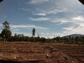 Empty and dry land / Lahan Tanah Kosong dan Kering
