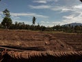Empty and dry land / Lahan Tanah Kosong dan Kering