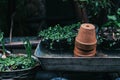 Empty earthenware terracotta flower pots in rainy garden. Royalty Free Stock Photo