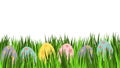 Empty easter card with eggs in pastel colors. Great for banner or invitation template. Few ornamental egg lying on green grass.