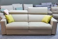 Empty elegant leather sofa in modern style