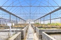 Empty farm plant breeding greenhouse, view inside