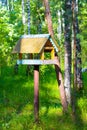 empty feeder in the form of a birdhouse in the forest Royalty Free Stock Photo