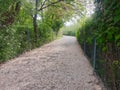 Empty fenced path in the park.