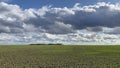 Empty field after harvesting in sunny day.