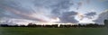 Empty field in Kapiolani Park at dusk Royalty Free Stock Photo