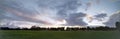 Empty field in Kapiolani Park at dusk