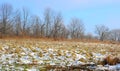 An empty field in late autumn or early winter as the last grass dies and is taken over by snow. Royalty Free Stock Photo