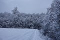 Empty fields and forest corners