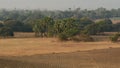 The empty fields with palm trees in Shan, Myanmar