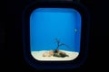 empty fish tank