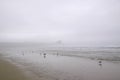 Empty foggy beach