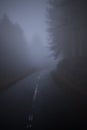 Empty foggy road at night Royalty Free Stock Photo