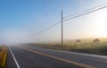Empty, foggy, rural farm country road in the early morning sunlight with powerlines Royalty Free Stock Photo