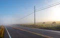 Empty, foggy, rural farm country road in the early morning sunlight with powerlines