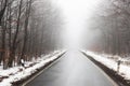 empty foggy winter forest street Royalty Free Stock Photo