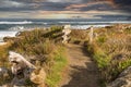 Empty foot path and wooden bridge on ocean beach trail with dark sky.