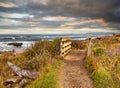 Empty foot path and wooden bridge on ocean beach trail with dark sky. Royalty Free Stock Photo