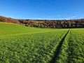 Empty footpath through field in English countryside landscape Royalty Free Stock Photo