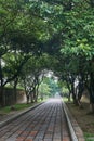 Empty footpath on a foggy day in the imperial city in Hue, Vietnam.