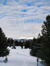 Empty forest mountain path trail during winter, footprints in deep snow, pine trees Royalty Free Stock Photo