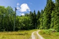 Empty forest road in Golden Ears Provincial Park British Columbia Canada