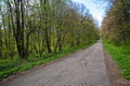 Empty forest road in spring Royalty Free Stock Photo