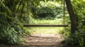 Empty forest swing in lush greenery for retreat and leisure concepts Royalty Free Stock Photo