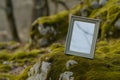 empty frame balanced on a mosscovered rock Royalty Free Stock Photo