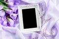 Empty frame with a bouquet sweet blue roses petal on sof Royalty Free Stock Photo