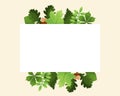 an empty frame with green forest leaves. vector illustration. place for text