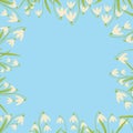 empty frame with spring flowers. Vector snowdrops on a blue background. place for text