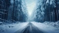 Empty frozen road through idyllic snowy forest in winter