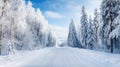 Empty frozen road through idyllic snowy forest in winter