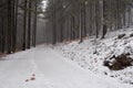 Empty frozen snowy forest road. dangerous rural path in winter. Troodos cyprus