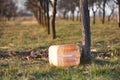 Empty fuel canister Royalty Free Stock Photo