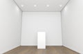 Empty Gallery Room And Plinth