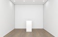 Empty Gallery Room And Plinth