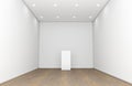 Empty Gallery Room And Plinth