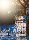 Empty garden swing in the sunset light with snowy ground Royalty Free Stock Photo