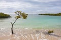 Empty German beach (Playa de los Alemanes) on Santa Cruz Island, Galapagos National Park, Ecuador