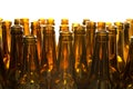 Empty glass beer bottles Royalty Free Stock Photo