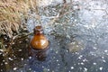 An empty glass bottle was frozen in the ice of the lake. Environmental pollution. Ecology Royalty Free Stock Photo