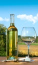 Empty glass with a bottle of white wine Royalty Free Stock Photo