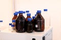 empty glass reagent bottles in chemical laboratory Royalty Free Stock Photo