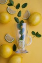 Empty glass tea cup with fresh mint leaves, lemon, citrus, lime, isolated over yellow background. Autumn, fall hot healthy drink c Royalty Free Stock Photo