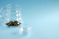 An empty glass teapot with blue tea clitoris flowers stands on a blue background. Copy space