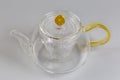 Empty glass teapot on a gray background Royalty Free Stock Photo