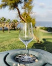 An empty glass on a trash can against the backdrop of palm trees and the sea. Royalty Free Stock Photo