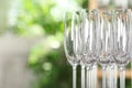 Empty glasses against blurred background. Space for text Royalty Free Stock Photo